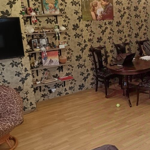 2-комн квартира Шувалово тер., улица Береговая, 18к3