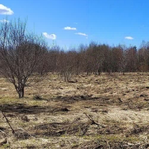 Земельный участок д. Болотово, 13