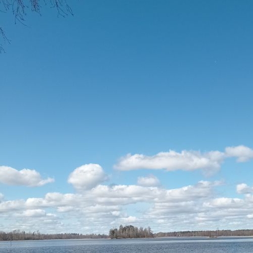 Коттедж/дом пос. Кротово, переулок Березовый