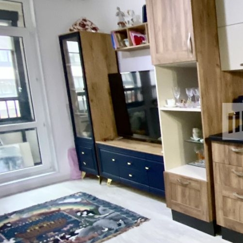 Студия проспект Ветеранов, 204