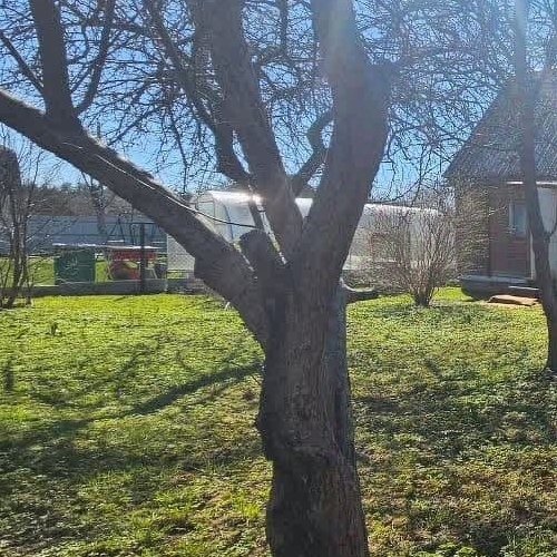 Коттедж/дом Заречный садоводческий массив, Дружба СНТ,  д. 54