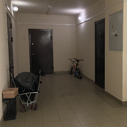 2-комн квартира Колпино, шоссе Вознесенское, 49к2