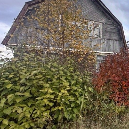 Коттедж/дом пос. Лейпясуо, Флора СНТ, 231