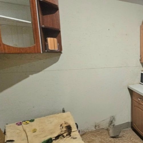 Студия Красное Село, проспект Ленина, 47к2