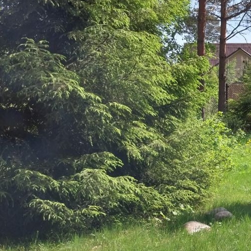 Коттедж/дом Васкелово садоводческий массив, ЦНИИ Электроприбор СНТ, проезд 2-й