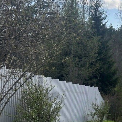 Земельный участок пос. Серово, Молодежное СНТ, проезд 1-й