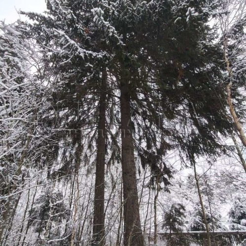 Земельный участок Бригадное, Бригадное п.