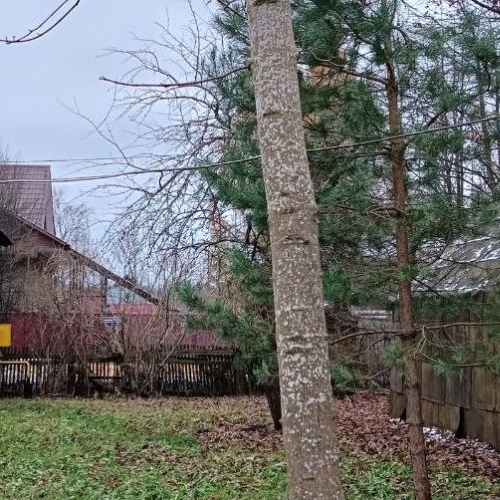 Земельный участок Зеленогорск, Загородная улица