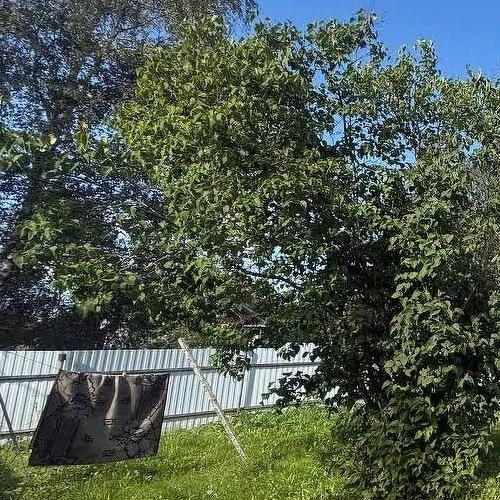 Коттедж/дом Волхов, улица Связи, 22