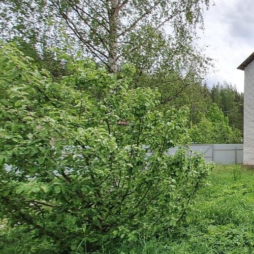 Коттедж/дом Красницы садоводческий массив, Пушкинец садоводческое товарищество, 43