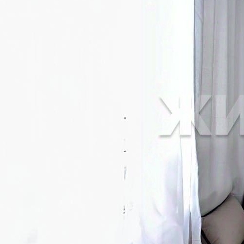 Студия проспект Ветеранов, 196