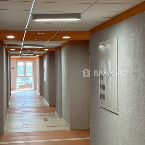 Студия пос. Парголово, проезд Толубеевский, 8к2