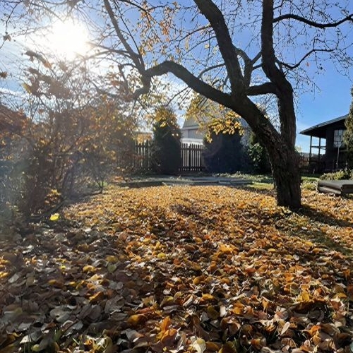 Коттедж/дом Михайловский садоводческий массив, Отрадненское СНТ, 14-я линия, 665