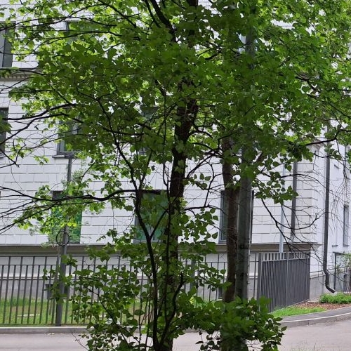 3-комн квартира Зеленогорская улица, 3