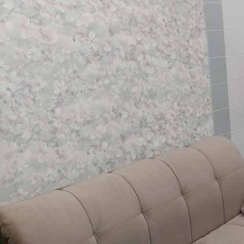 Студия Кудрово г., улица Пражская, 4