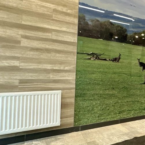 Студия пос. Парголово, улица Брюлловская, 3